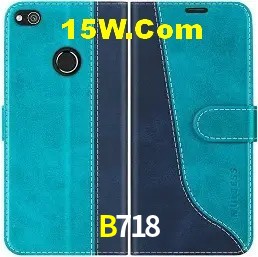 Provedores de Jogos B718
